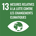 ONU - 13 - Mesures relatives à la lutte contre les changements climatiques